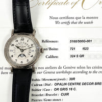 Retrograde Perpetual Calendar, 42mm White Gold Rare Handcrafts Self Winding 5160/500G-001
