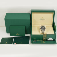 Datejust 41mm Steel 126300