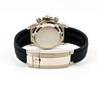 Daytona White Gold with Rubber Strap 126519LN