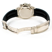 Daytona White Gold with Rubber Strap 126519LN