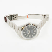 Explorer 39mm Steel 214270
