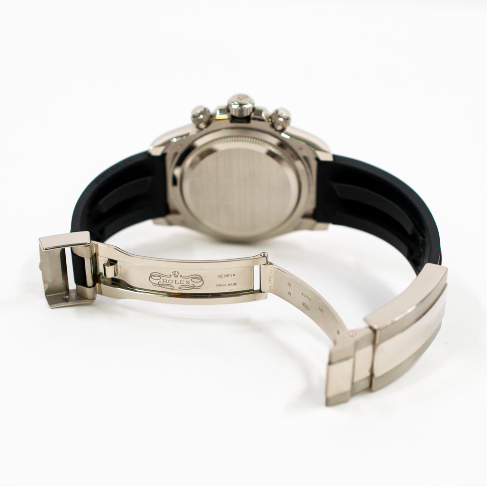 Daytona White Gold with Rubber Strap 126519LN