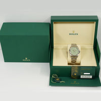 Oyster Perpetual 41mm Steel 134300