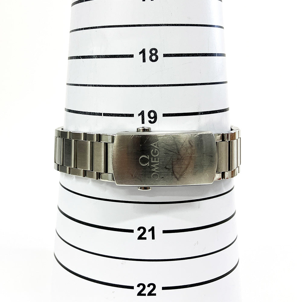 Seamaster 300M Co-Axial 41mm Stainless Steel 234.30.41.21.01.001