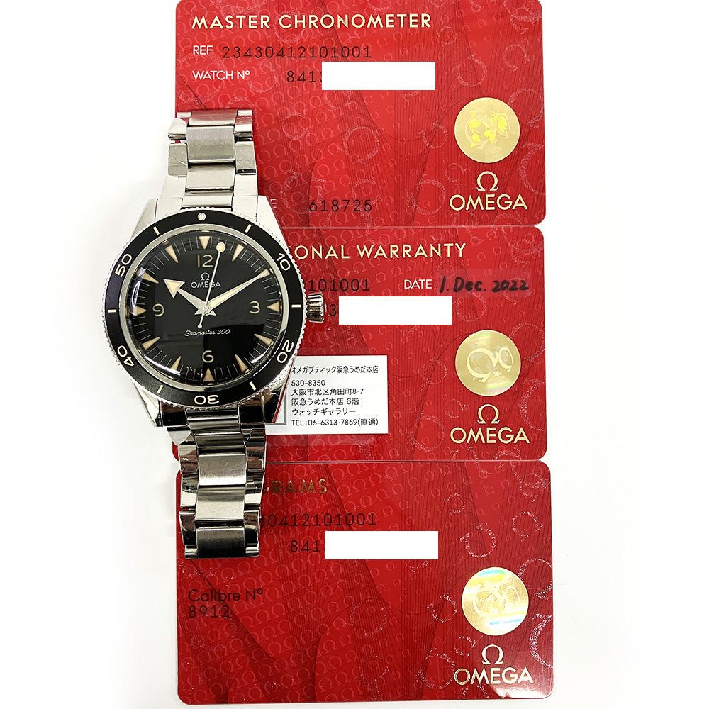 Seamaster 300M Co-Axial 41mm Stainless Steel 234.30.41.21.01.001