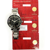 Seamaster 300M Co-Axial 41mm Stainless Steel 234.30.41.21.01.001