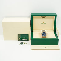 Sky-Dweller Steel and White Gold 326934