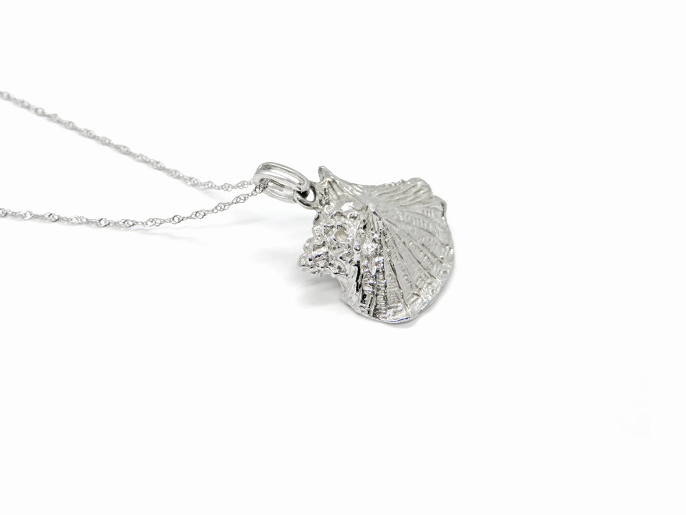 14K White Gold Shell Pendant Necklace