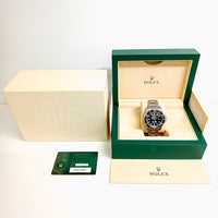 Deepsea 44mm Steel 126660