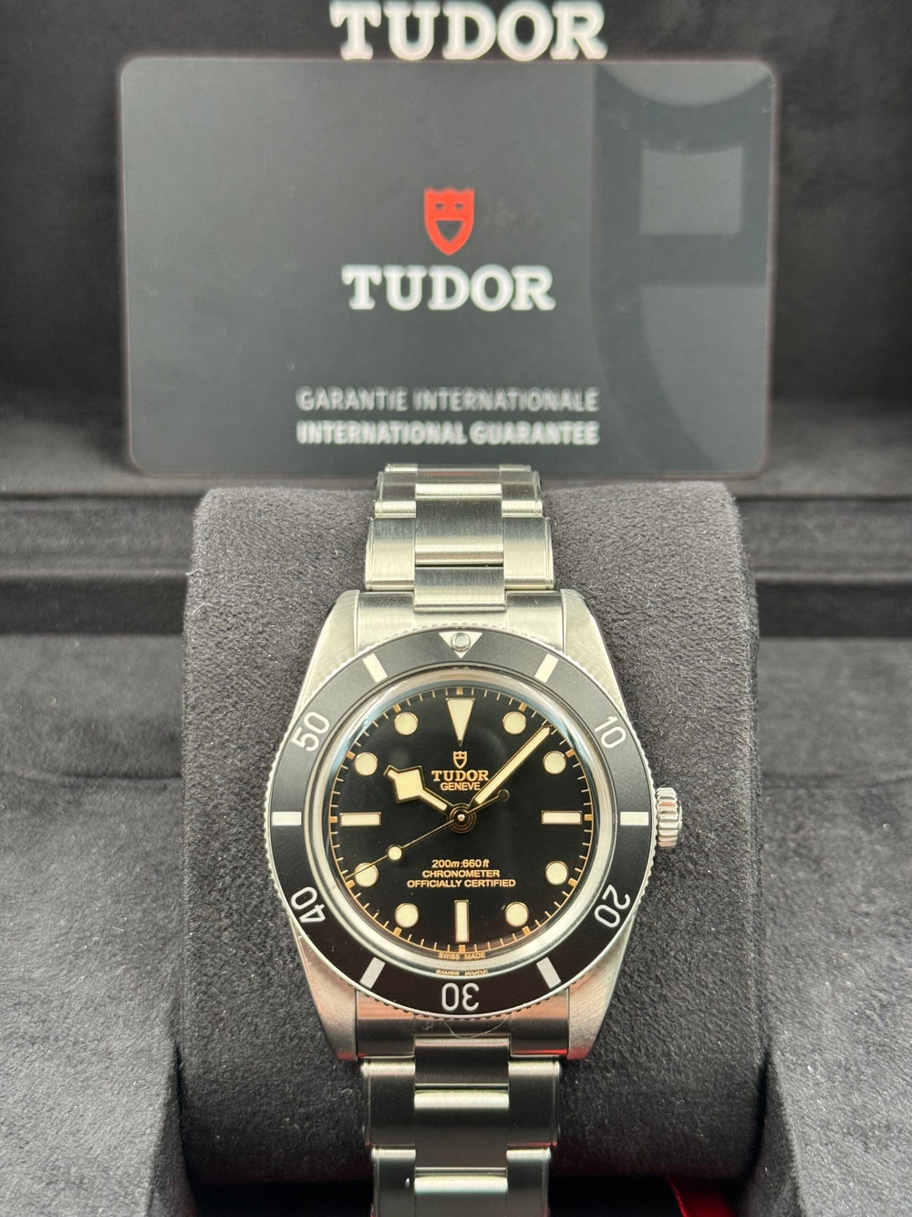 Tudor Black Bay 54 79000N