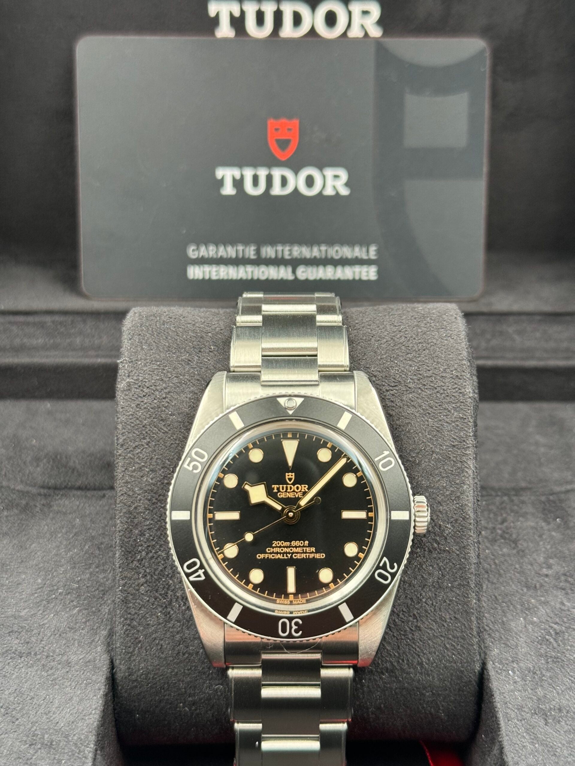 Tudor Black Bay 54 79000N