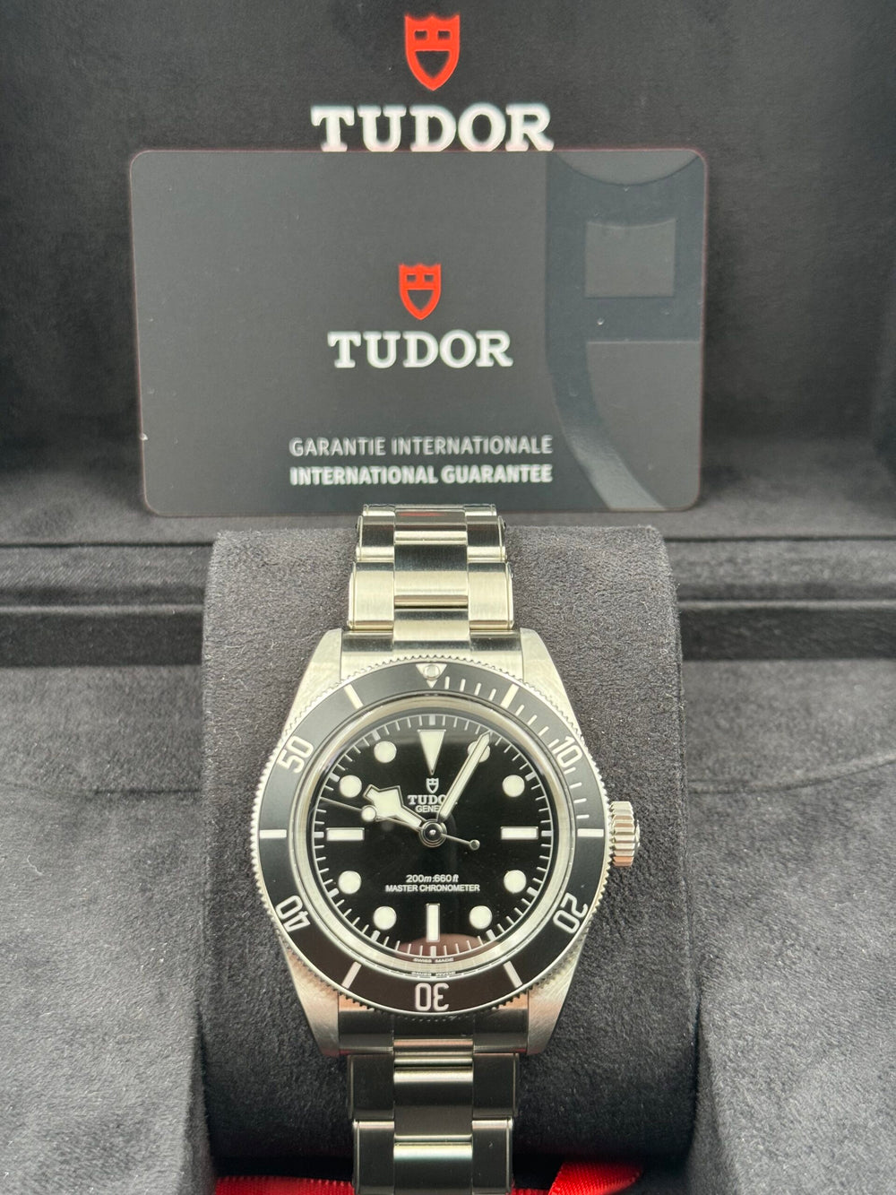 Tudor Black Bay Heritage Monochrome 7941A1A0NU