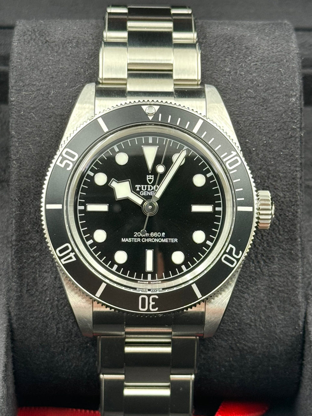 Tudor Black Bay Heritage Monochrome 7941A1A0NU