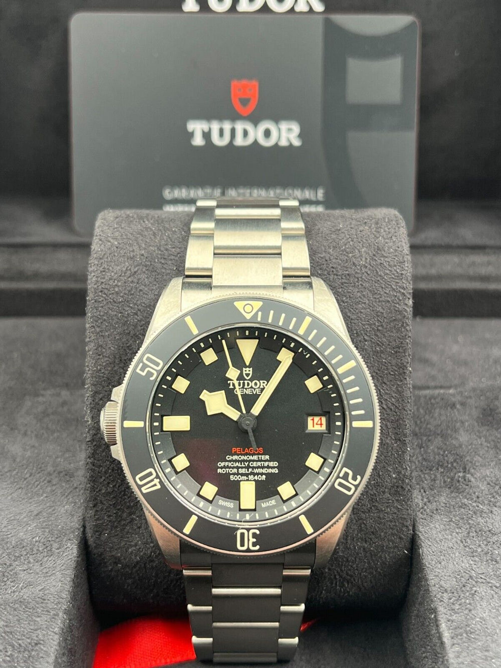 Tudor Pelagos 25610TNL