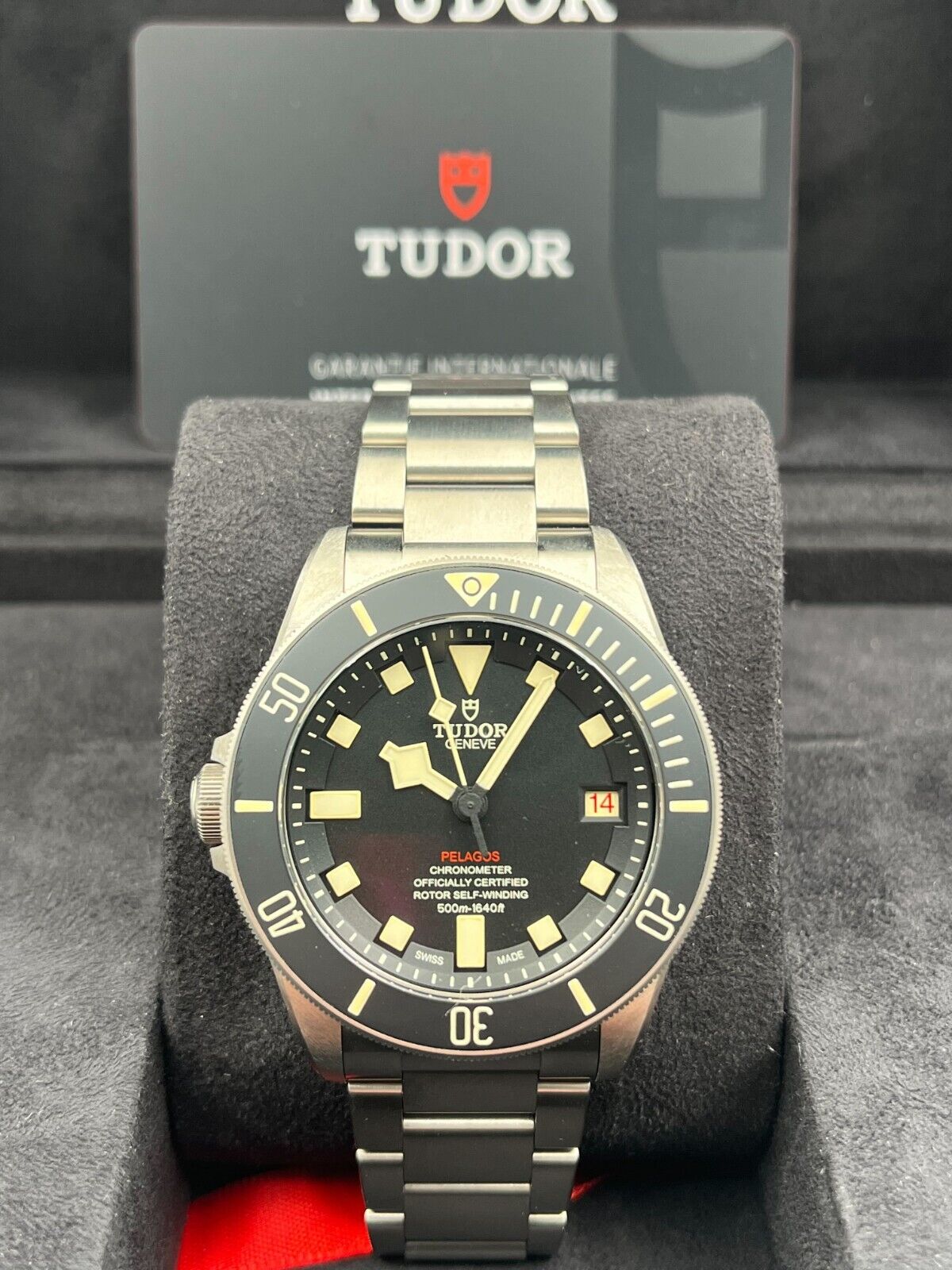 Tudor Pelagos 25610TNL