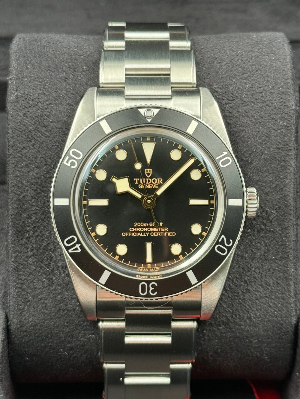 Tudor Black Bay 54 79000N
