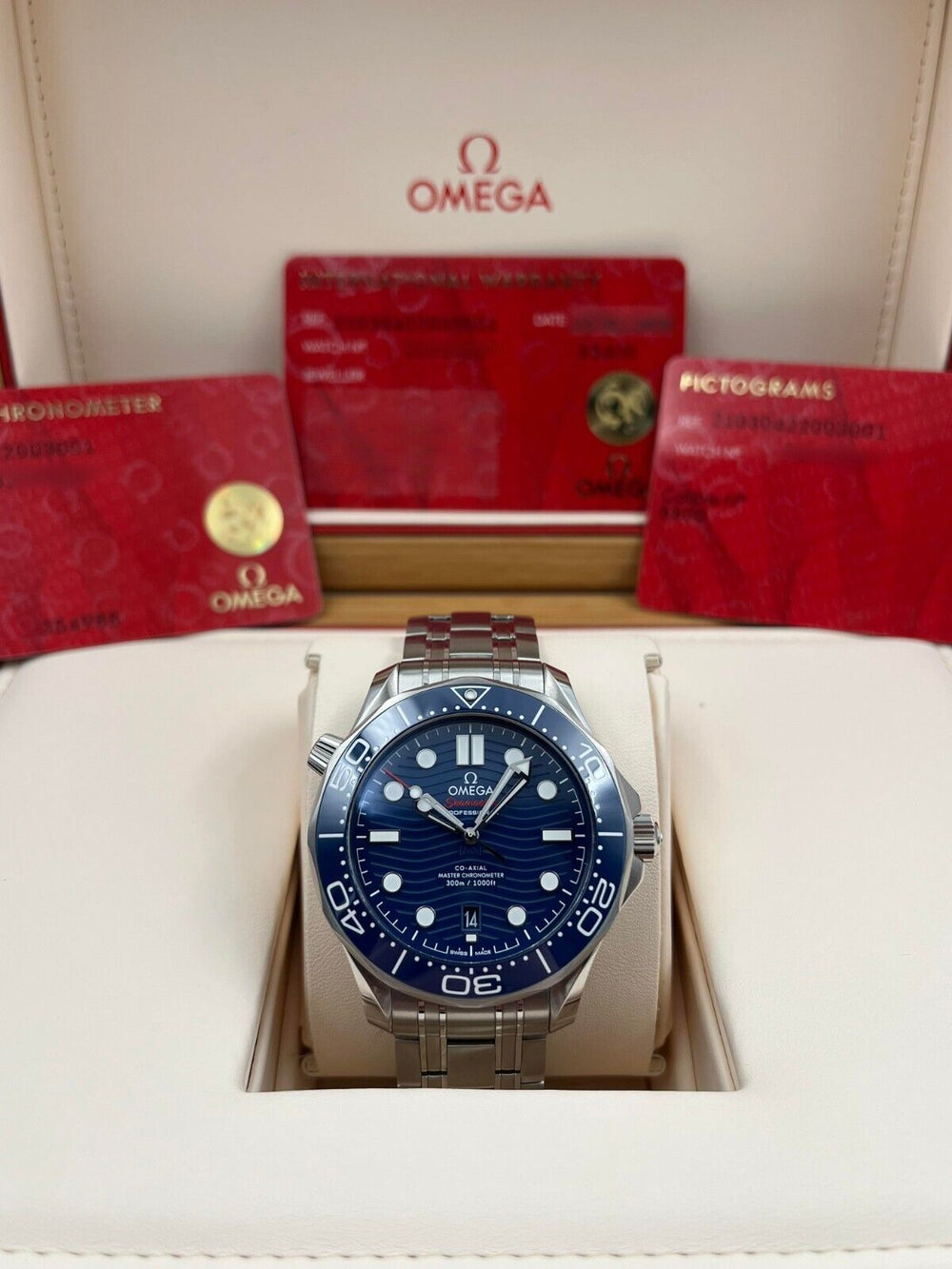 Omega Seamaster 300M 210.30.42.20.03.001