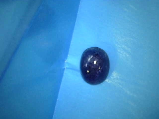 13ct Oval Star Sapphire 
GIA.