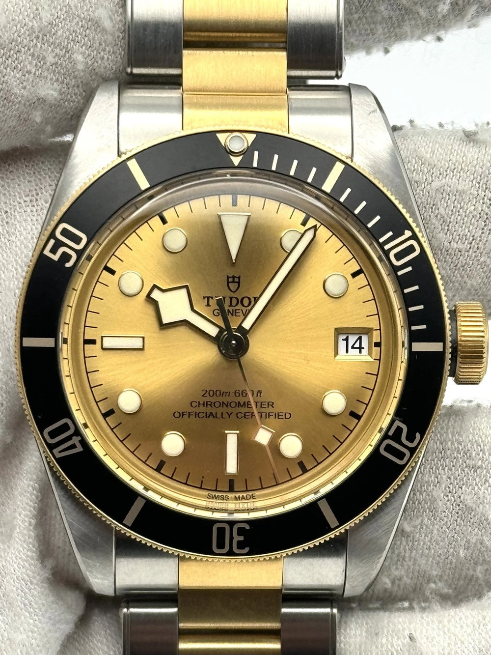 Tudor Black Bay 58 79733N