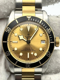 Tudor Black Bay 58 79733N