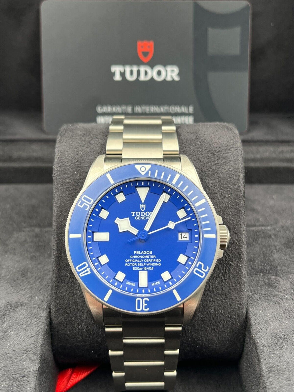 Tudor Pelagos 25600TB
