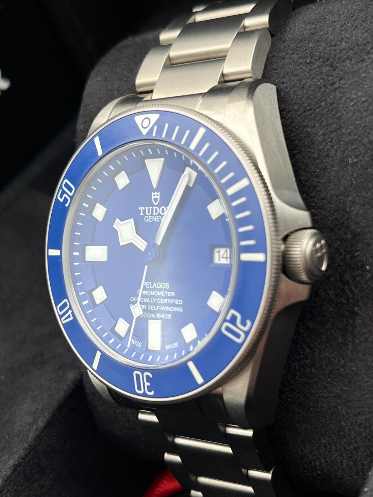 Tudor Pelagos 25600TB