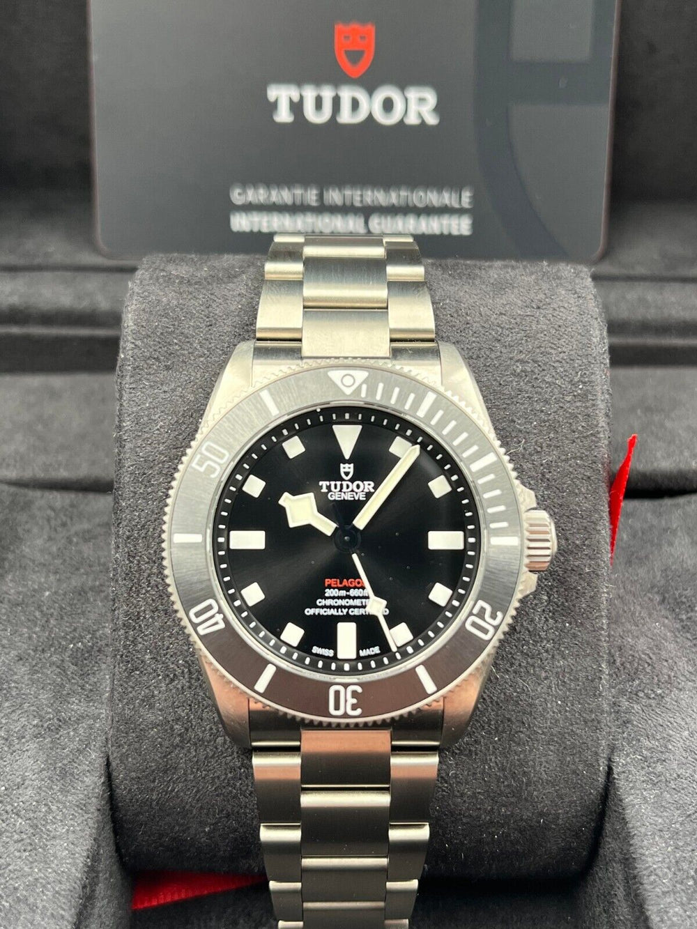 Tudor Pelagos 25407N