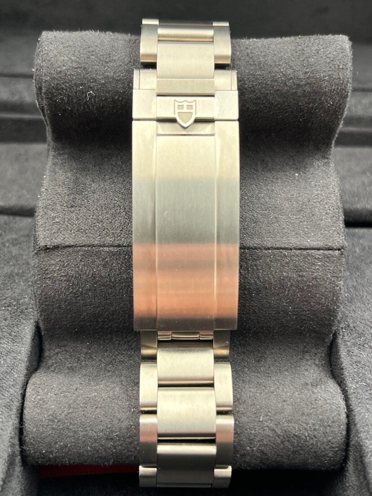 Tudor Pelagos 25407N