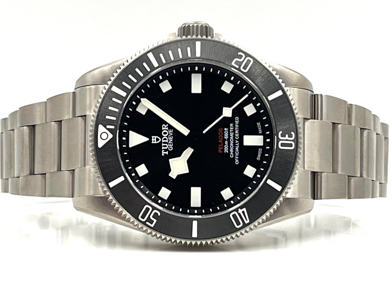 Tudor Pelagos 25407N