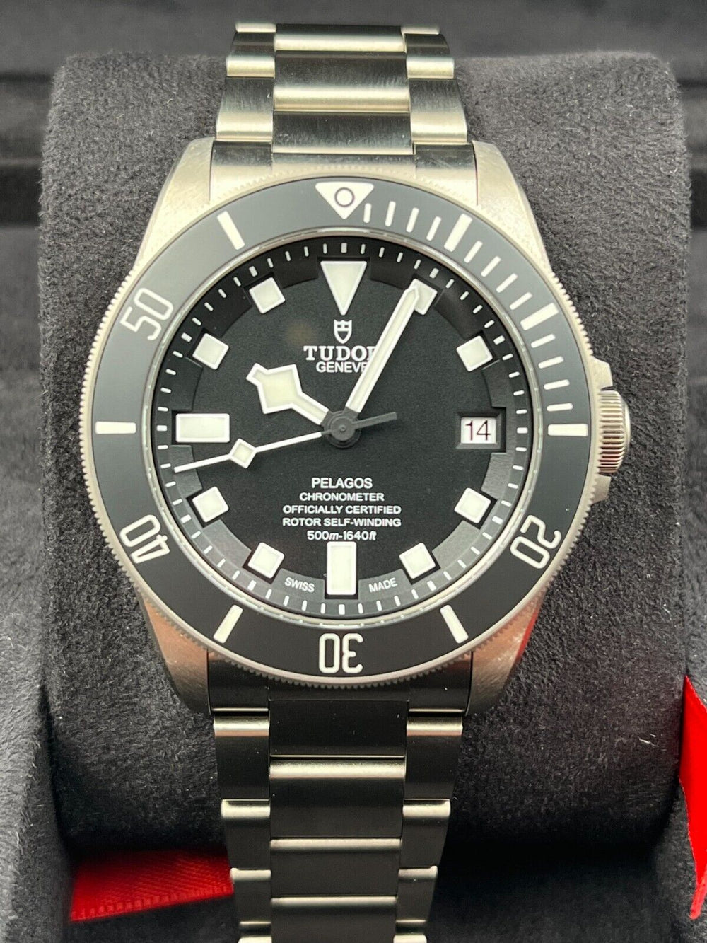 Tudor Pelagos 25600TN
