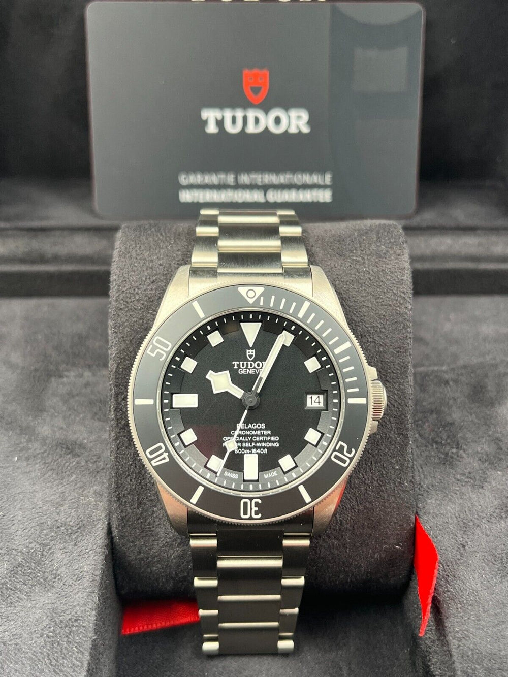 Tudor Pelagos 25600TN