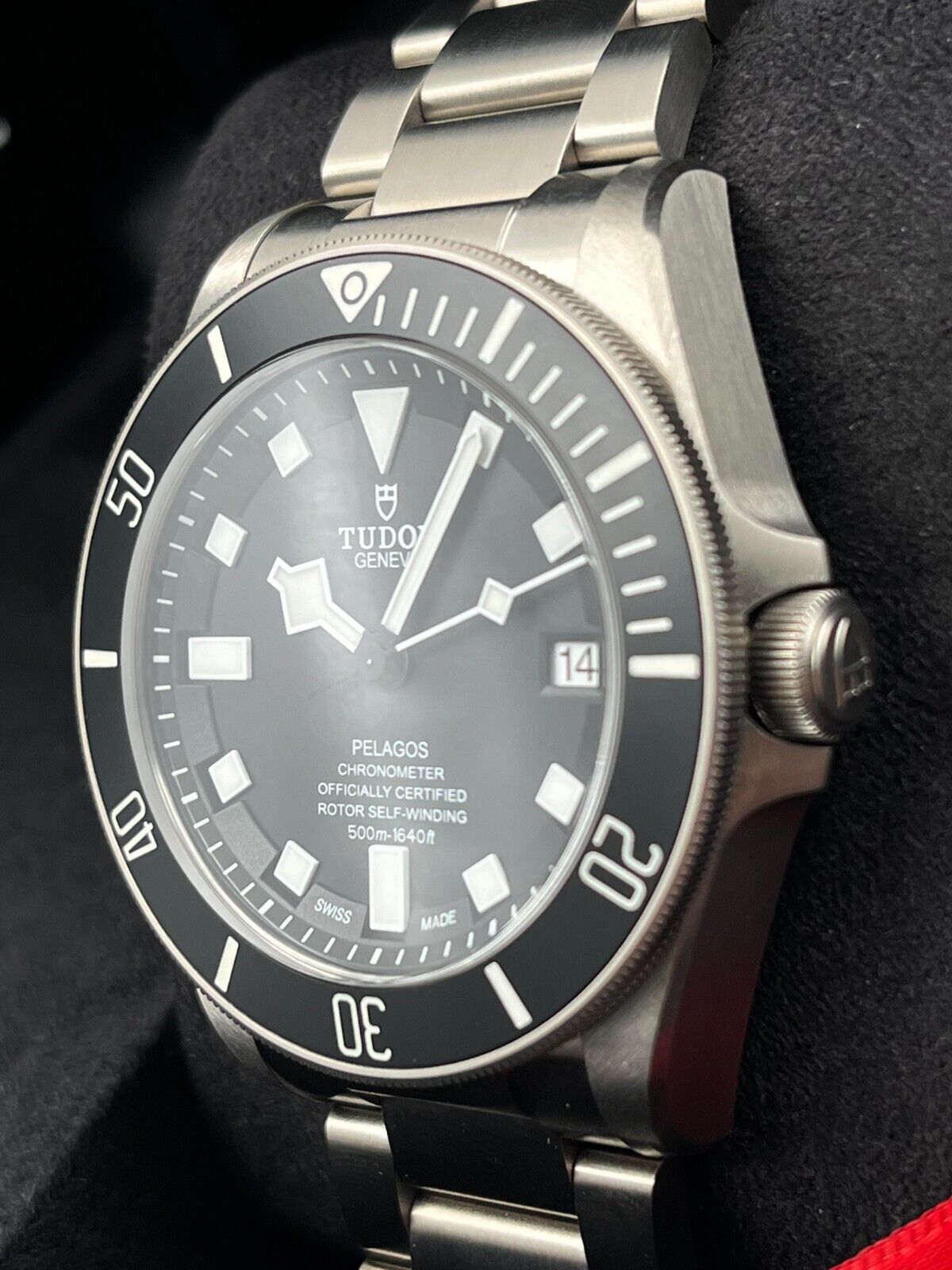 Tudor Pelagos 25600TN