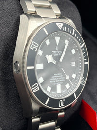 Tudor Pelagos 25600TN