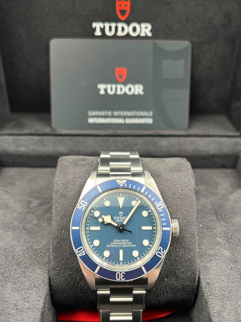 Tudor Black Bay 58 79030B
