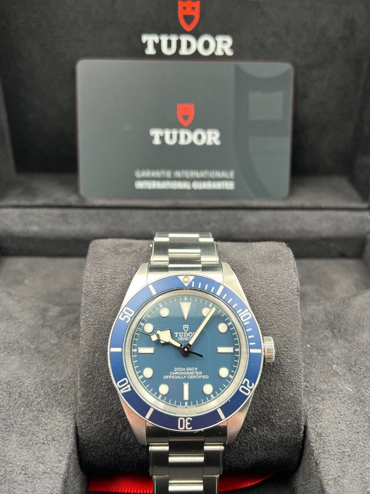 Tudor Black Bay 58 79030B