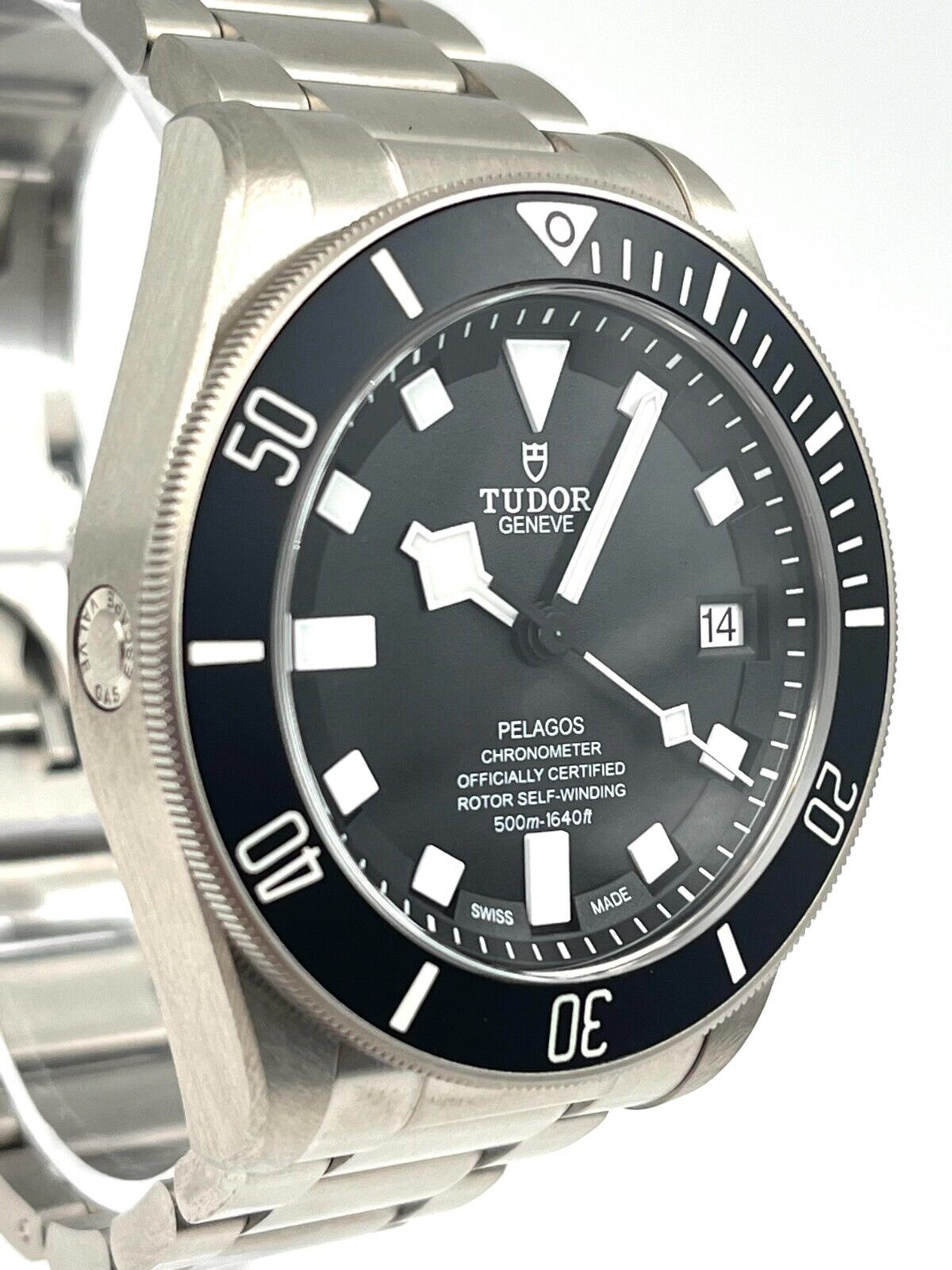 Tudor Pelagos 25600TN