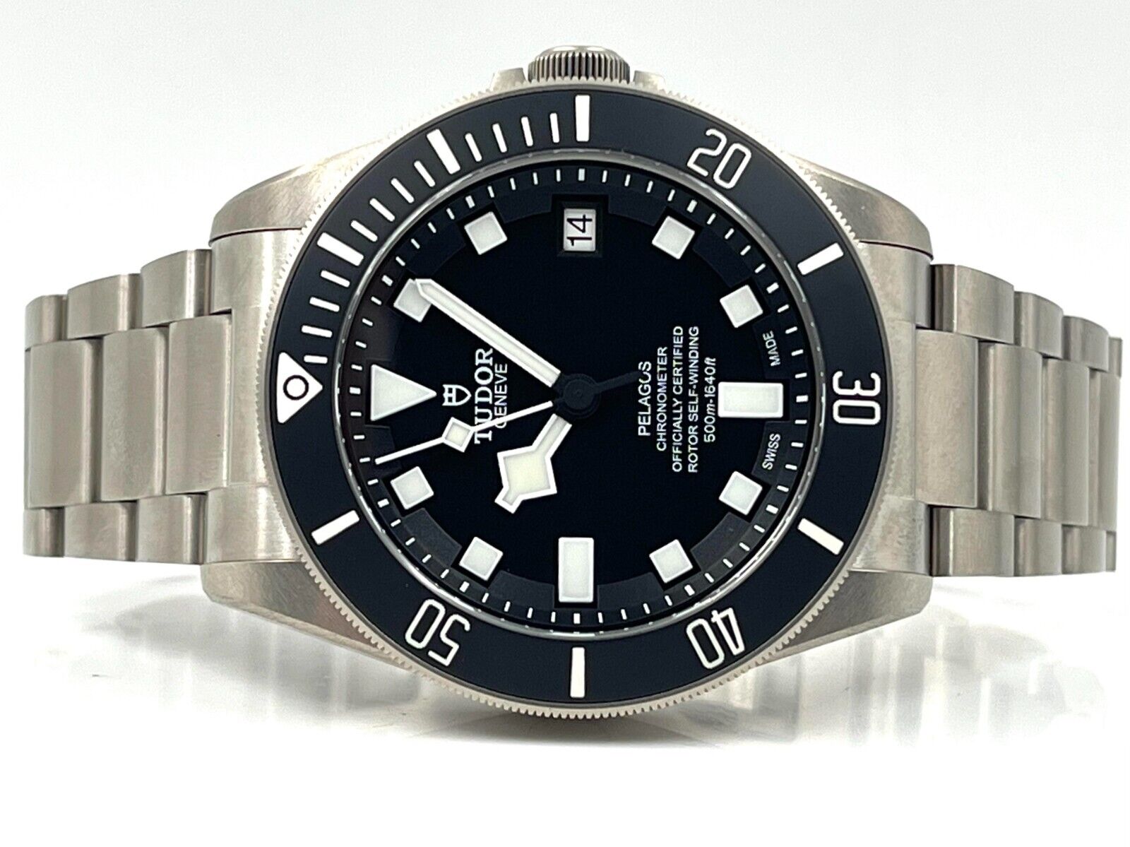Tudor Pelagos 25600TN