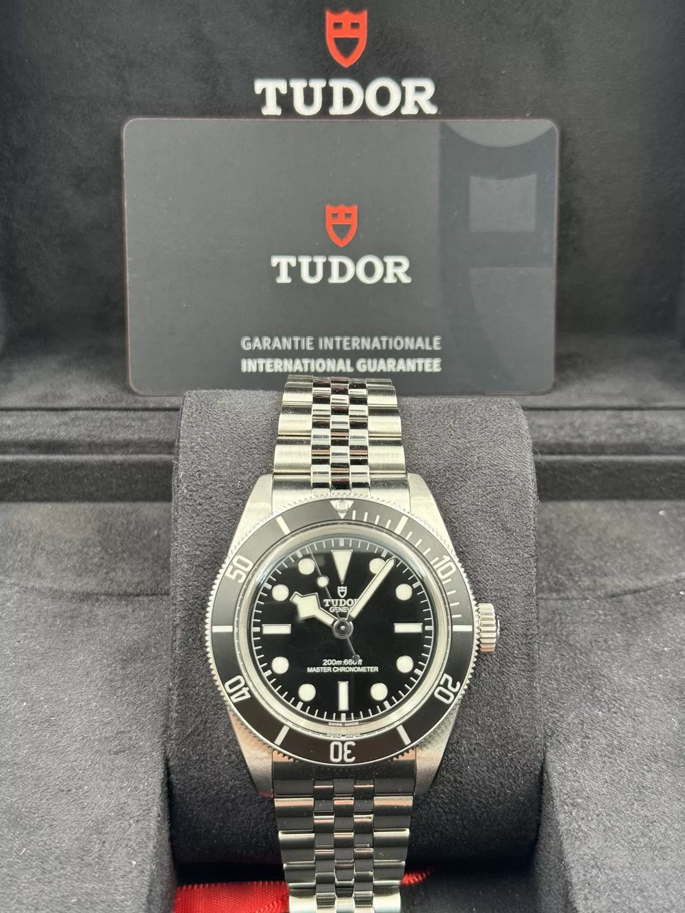 Tudor Black Bay Heritage Monochrome 7941A1A0NU