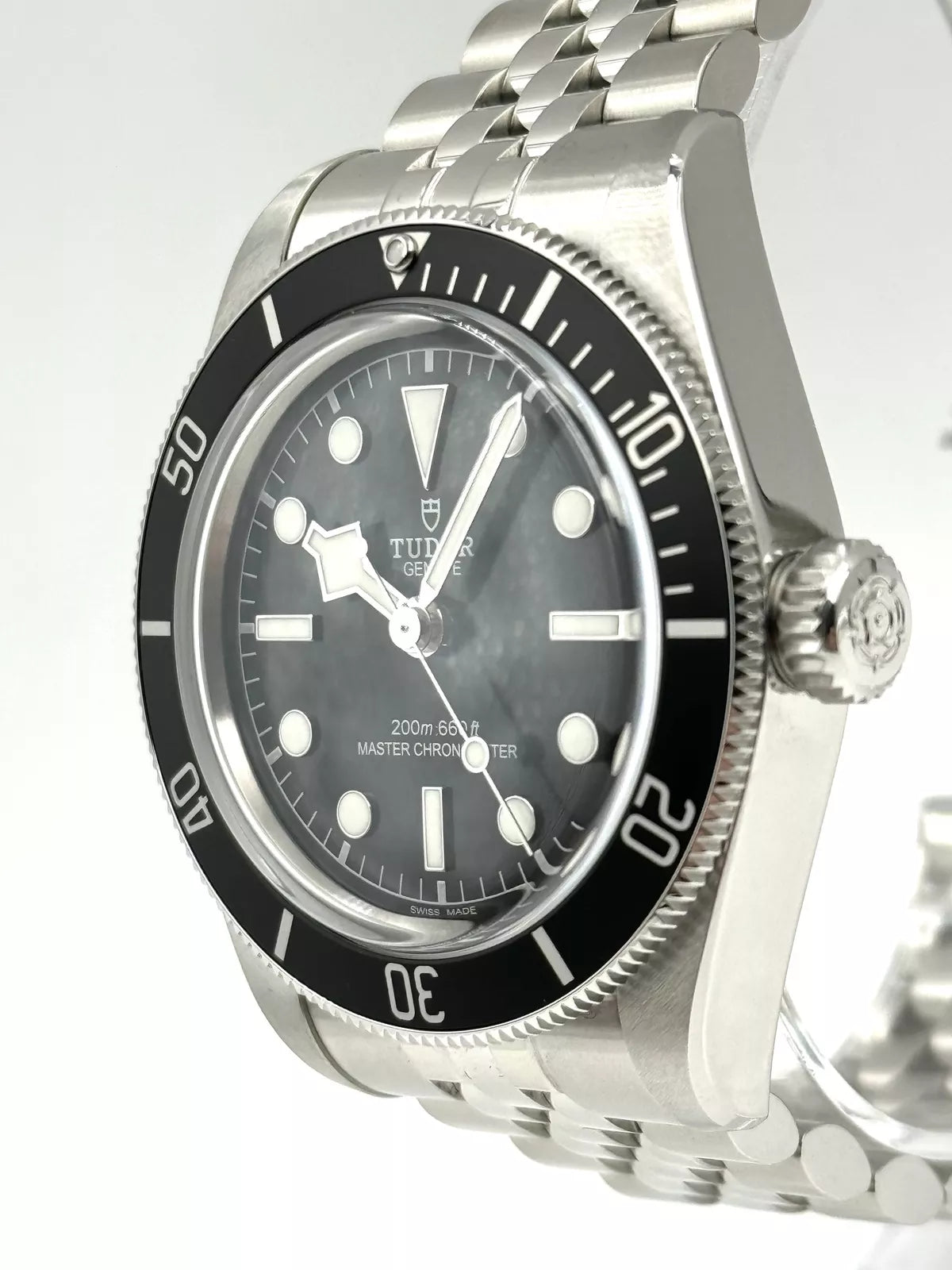 Tudor Black Bay Heritage Monochrome 7941A1A0NU
